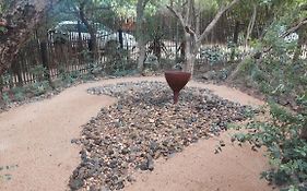 African Sky Bush Camp